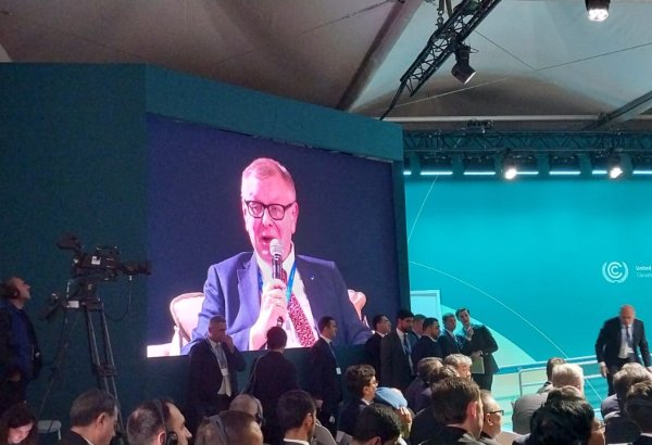 Combating climate change requires close cooperation - UN assistant secretary-general
