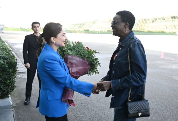 Tanzania's National Assembly Speaker arrives in Azerbaijan to attend COP29 (PHOTO)