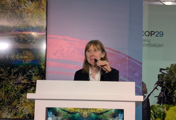 World Bank unveils bold plans for energy reform in Europe, Central Asia at COP29