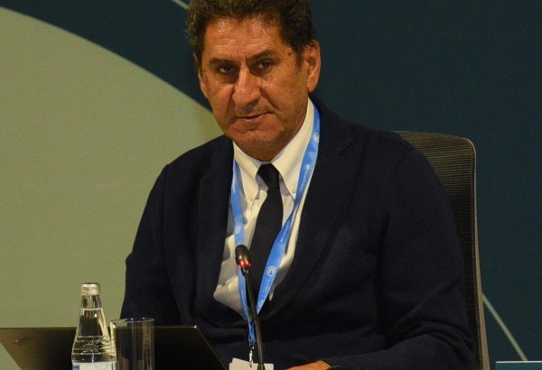Central Asian countries need to join efforts for renewables' development - IRENA