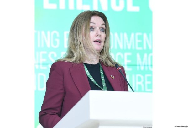 ANAMA-UNDP partnership poses best example of cooperation - COP29 participant