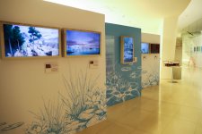 MAMA "Mother Nature" international art project and “Participate!" exhibition launched at Heydar Aliyev Center (PHOTO/VIDEO)