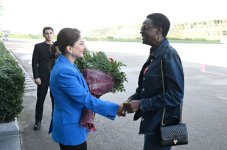 Tanzania's National Assembly Speaker arrives in Azerbaijan to attend COP29 (PHOTO)
