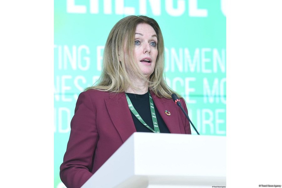 ANAMA-UNDP partnership poses best example of cooperation - COP29 participant