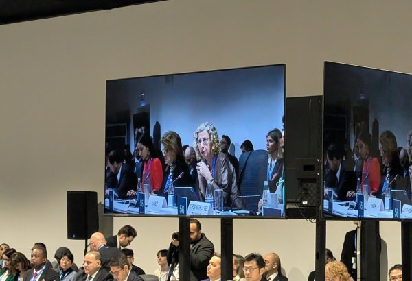 Integration of AI and digital technologies stands crucial for reducing greenhouse gas emissions strategies - UNEP