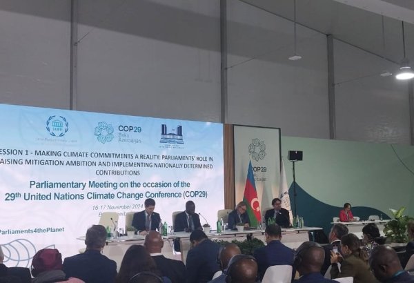 Development of NDCs ignores latest data - COP29 participant