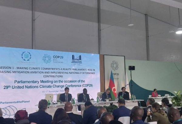 Azerbaijan's COP29 holds session on making climate commitments reality on margins of Parliamentary Meeting
