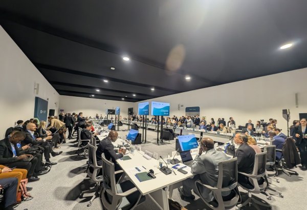 Azerbaijan's COP29 hosts high-level roundtable on green digital action (PHOTO)