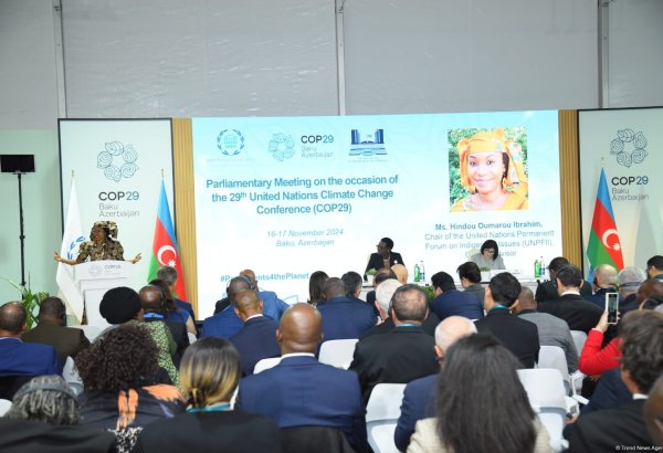 COP29 hosts "Setting scene: understanding real impact of climate change" session (PHOTO)