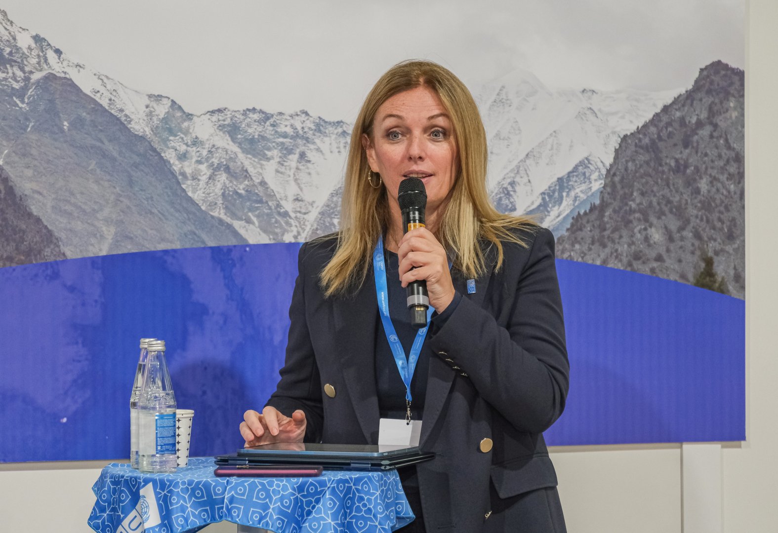 ANAMA, UNDP organize joint event on mine action and eco-resilience at COP29 (PHOTO)