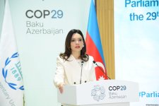 COP29 hosts "Setting scene: understanding real impact of climate change" session (PHOTO)