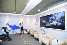 COP29 hosts presentation of "Whale Wash" documentary film (PHOTO)
