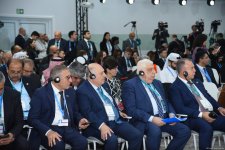 COP29 hosts "Setting scene: understanding real impact of climate change" session (PHOTO)