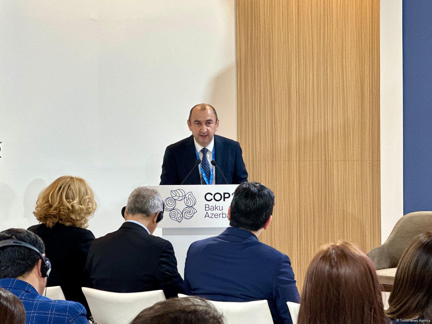 Economically sustainable future transition ranks among critical challenges - Azerbaijani official