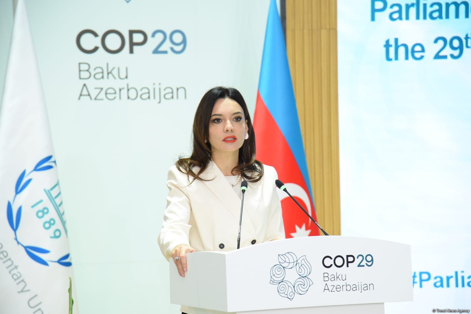 COP29 hosts "Setting scene: understanding real impact of climate change" session (PHOTO)