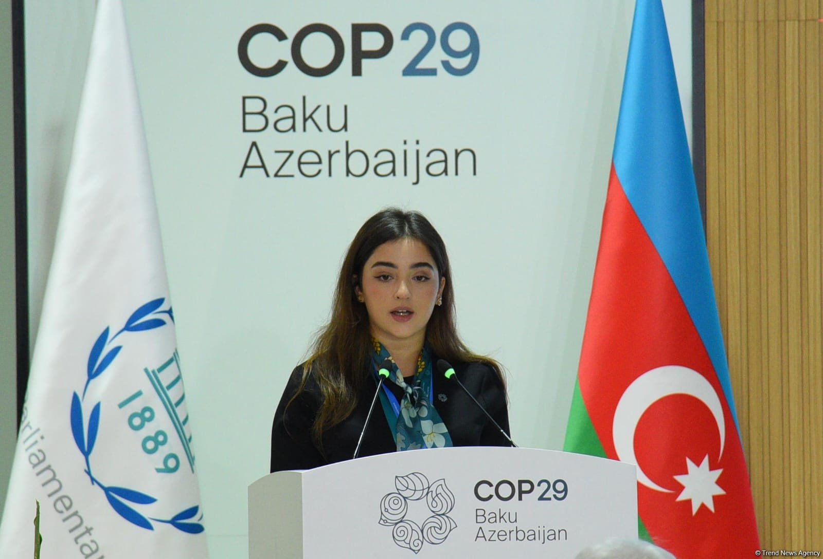 COP29 hosts "Setting scene: understanding real impact of climate change" session (PHOTO)