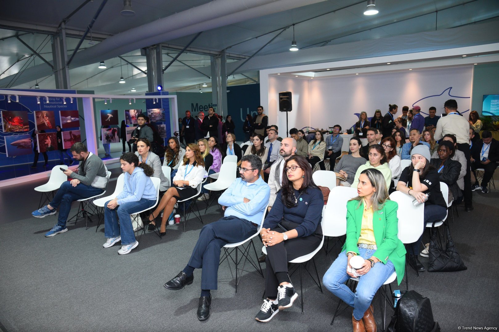 COP29 hosts presentation of "Whale Wash" documentary film (PHOTO)