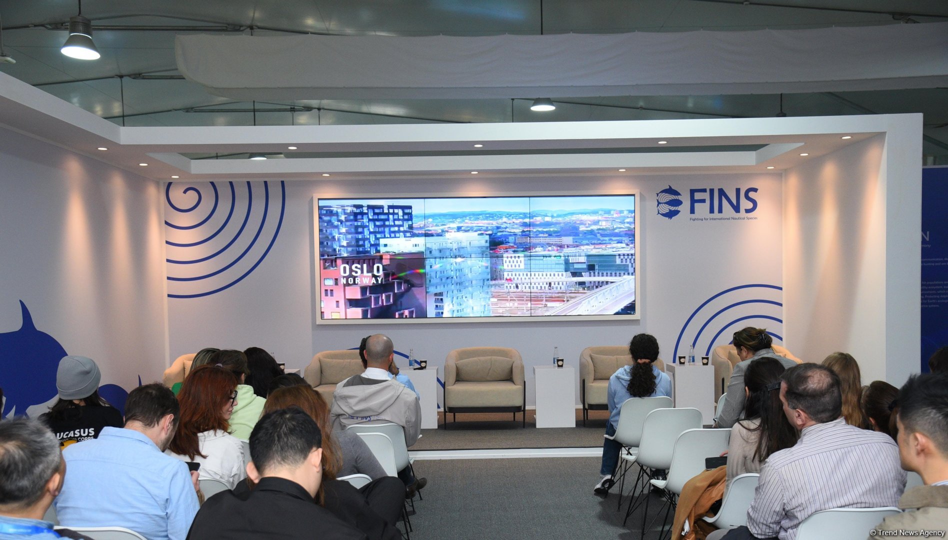 COP29 hosts presentation of "Whale Wash" documentary film (PHOTO)