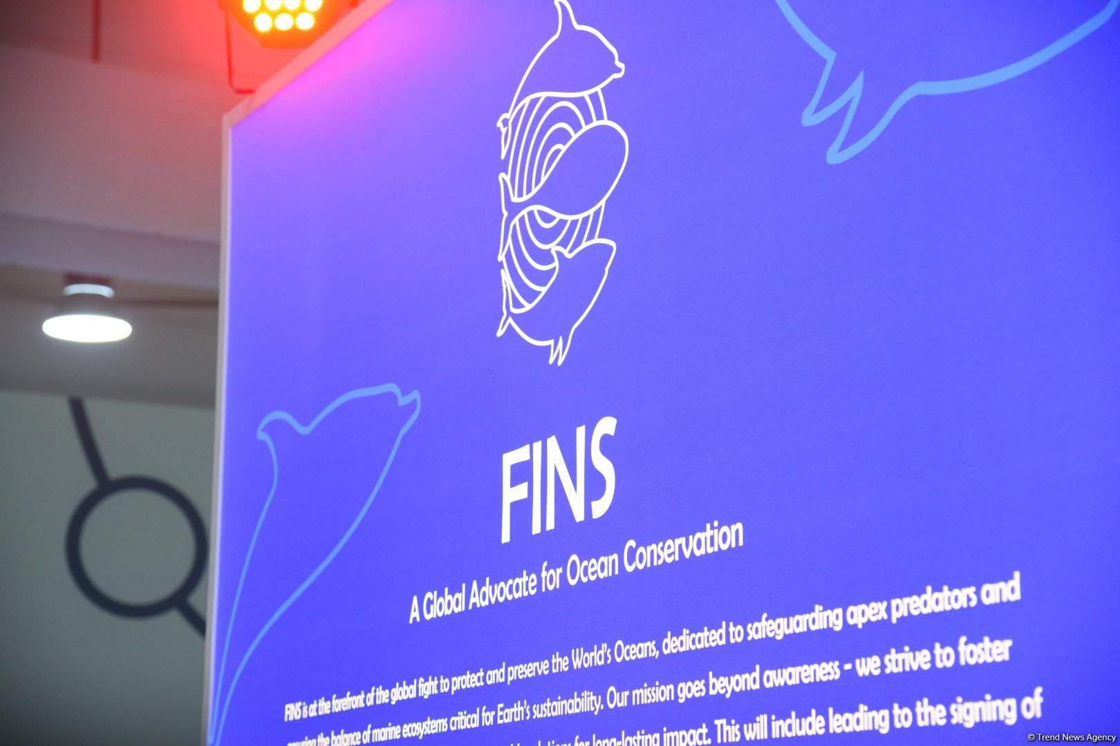 COP29 hosts presentation of "Whale Wash" documentary film (PHOTO)