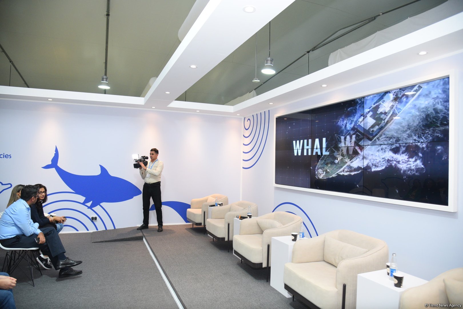 COP29 hosts presentation of "Whale Wash" documentary film (PHOTO)