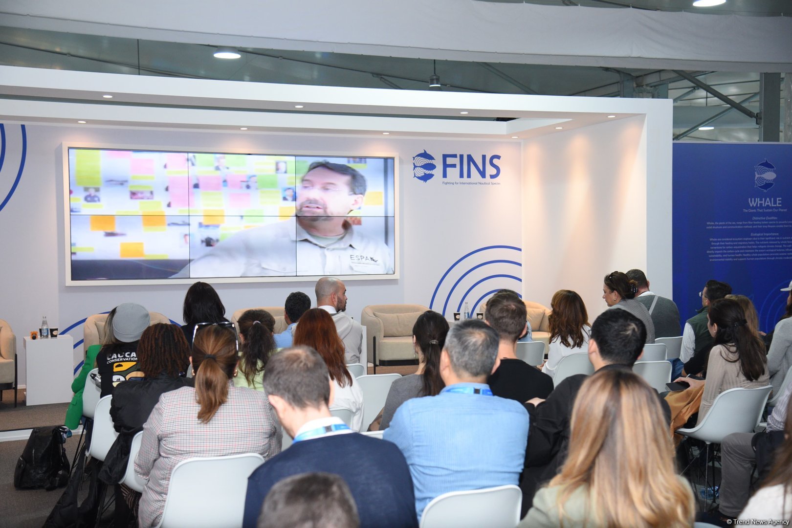 COP29 hosts presentation of "Whale Wash" documentary film (PHOTO)