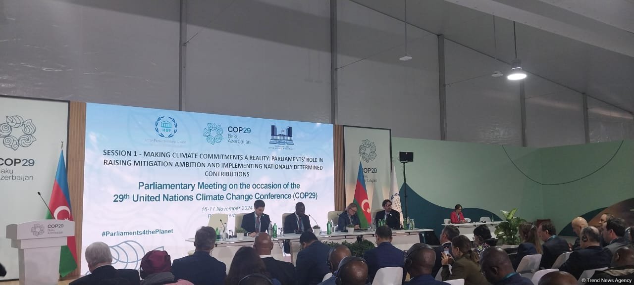 Development of NDCs ignores latest data - COP29 participant
