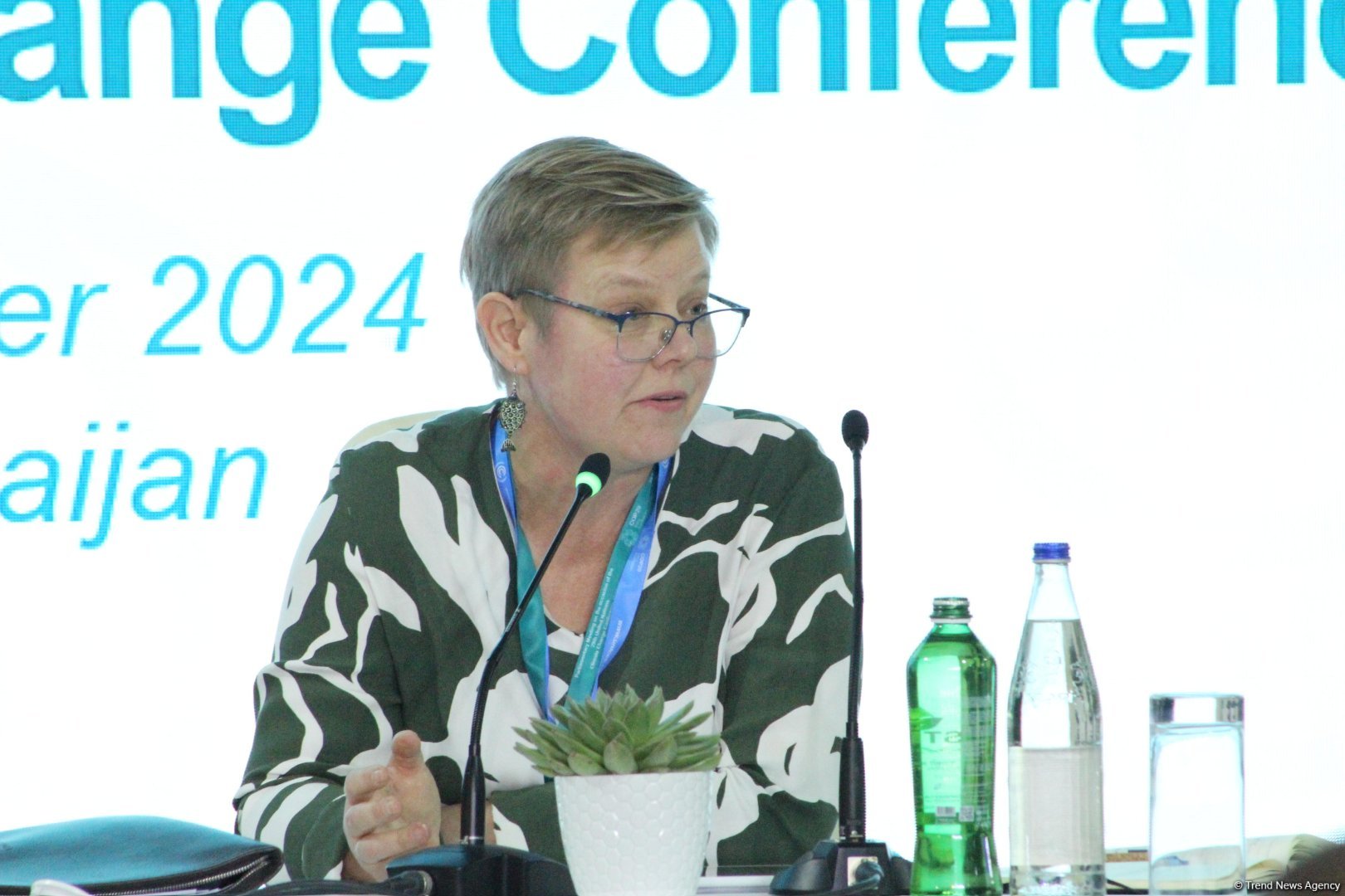 Accelerated 'green' transition demands boosting finance - Finnish MP