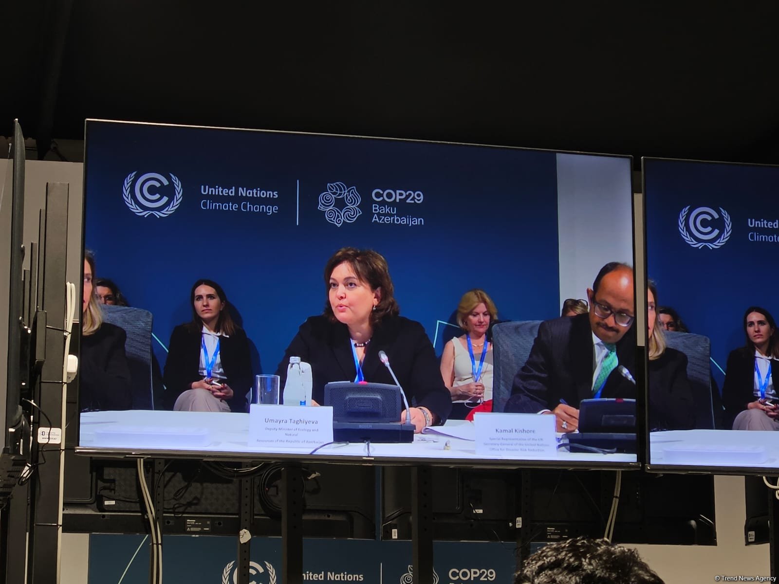 Countries, communities need to develop early warning systems as part of adaptation solutions - official