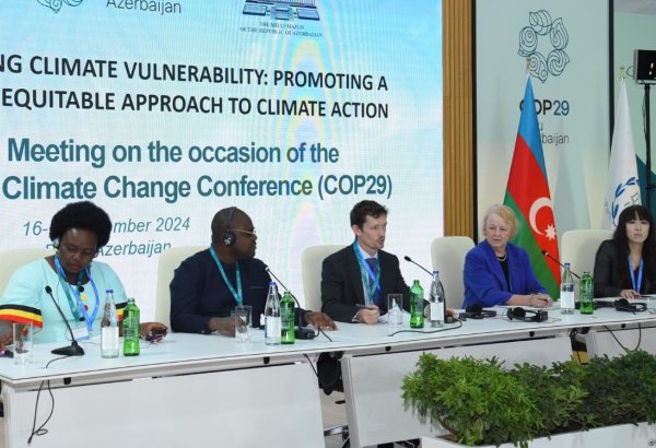 Mountain regions show rising temperatures faster than global average - ICIMOD head