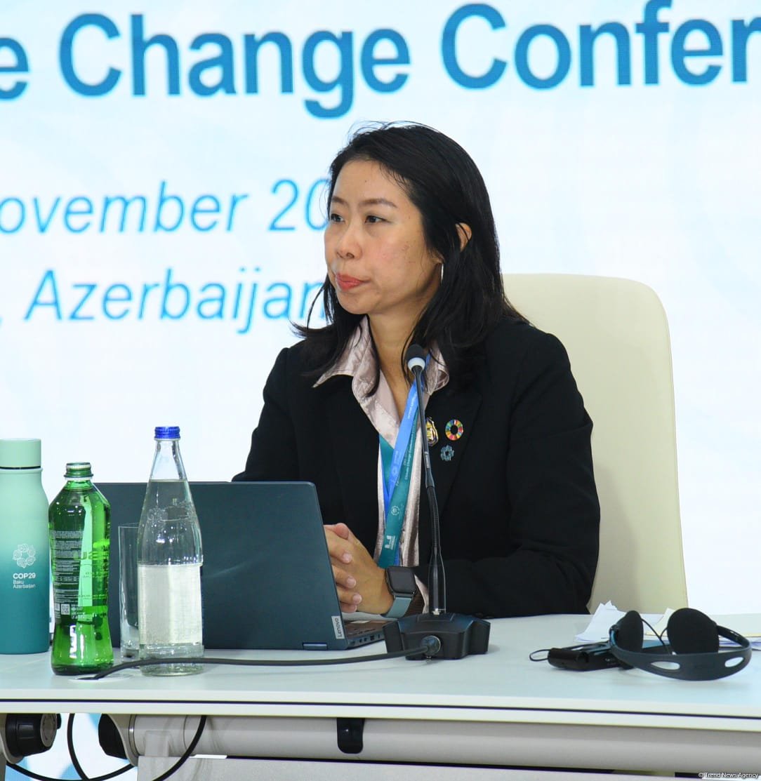 COP29 hosts session on migration issues caused by climate change on sidelines of parliamentary meeting (PHOTO)