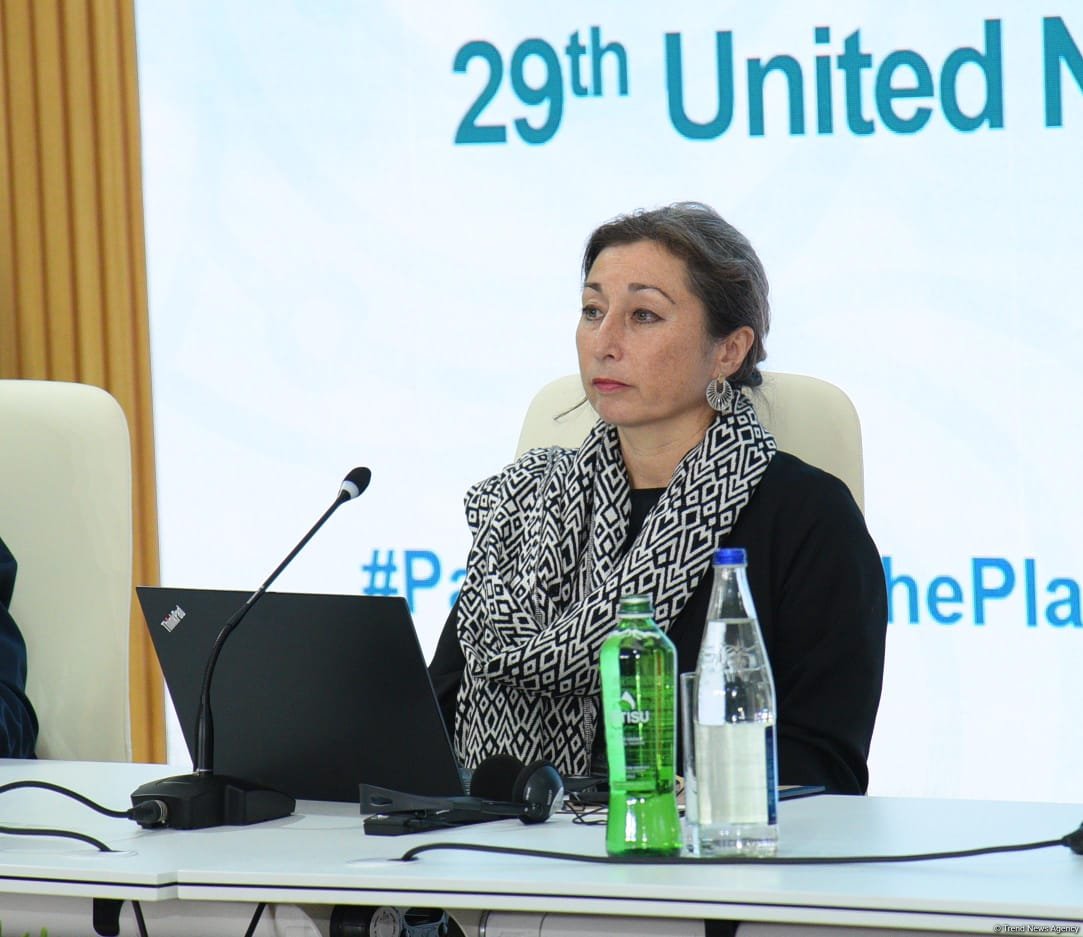 COP29 hosts session on migration issues caused by climate change on sidelines of parliamentary meeting (PHOTO)