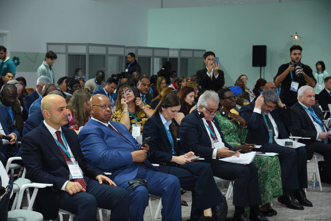 COP29 hosts session on migration issues caused by climate change on sidelines of parliamentary meeting (PHOTO)