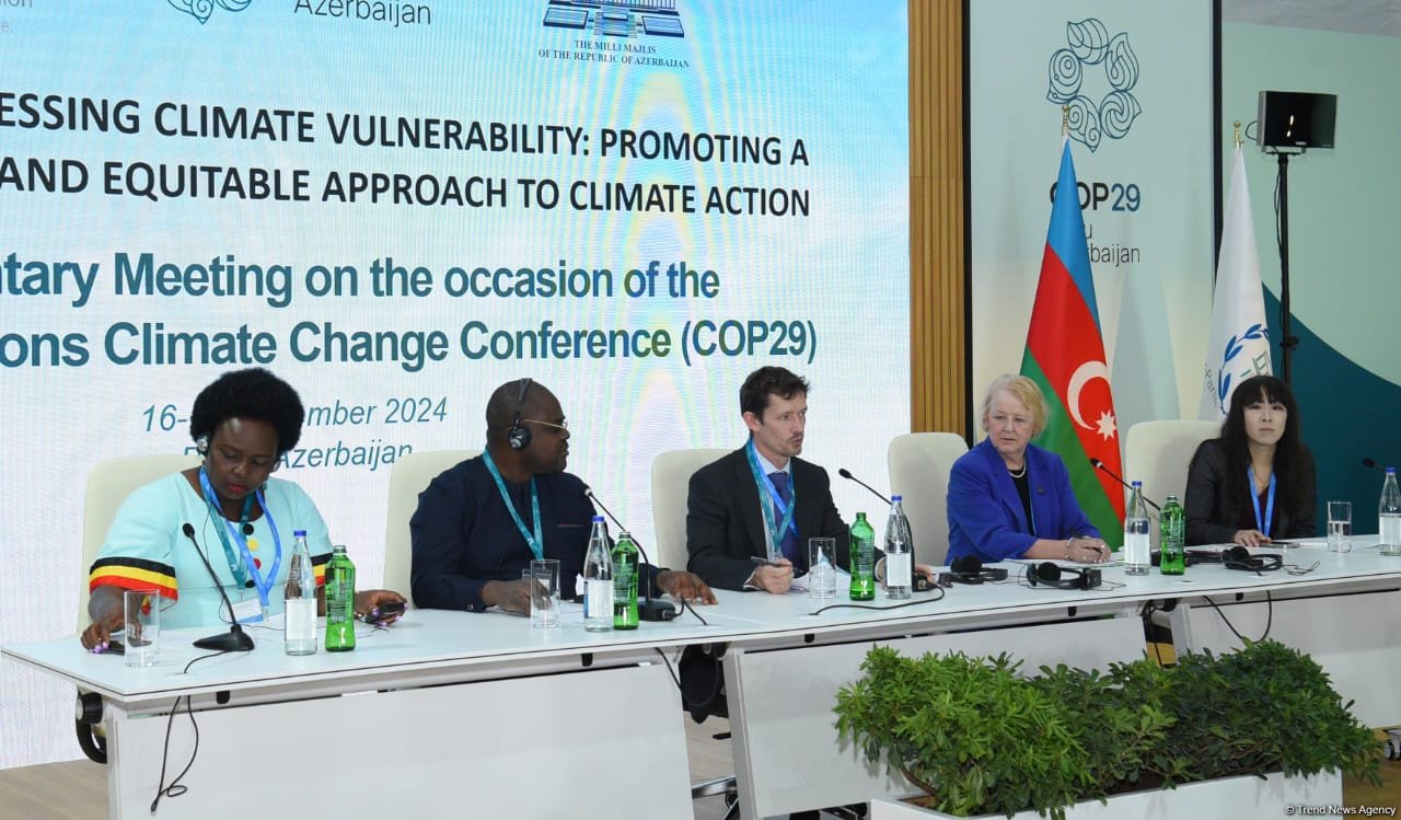 Mountain regions show rising temperatures faster than global average - ICIMOD head