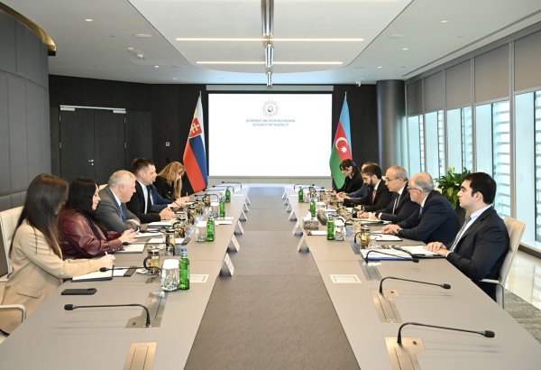 Azerbaijan, Slovakia work out renewables cooperation