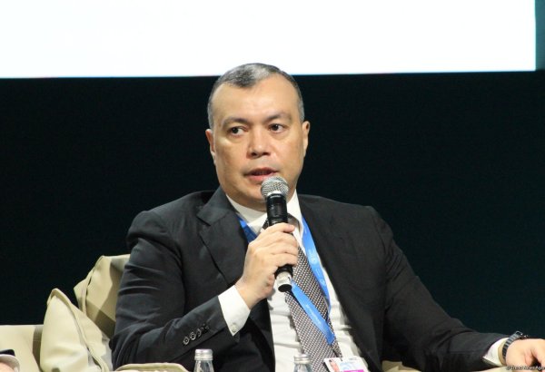 Climate change significantly impacts labor market - Azerbaijani minister