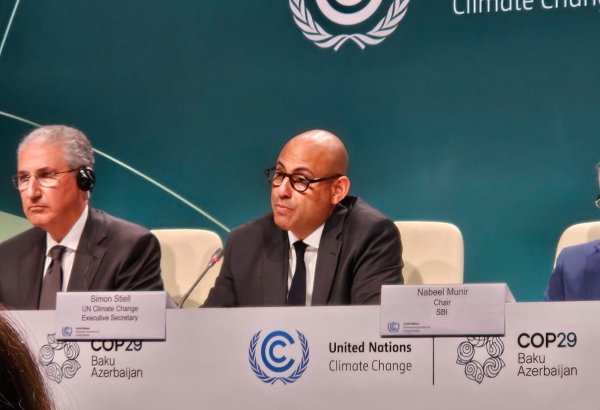 We still far from halving global emissions this decade - UN official