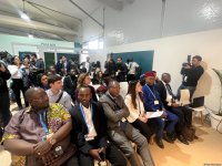 Azerbaijan's Baku initiative group holds event on solidarity for green future (PHOTO)