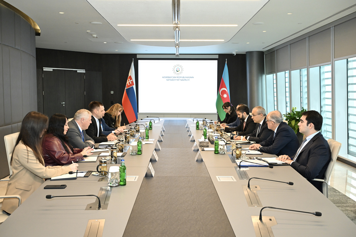 Azerbaijan, Slovakia work out renewables cooperation