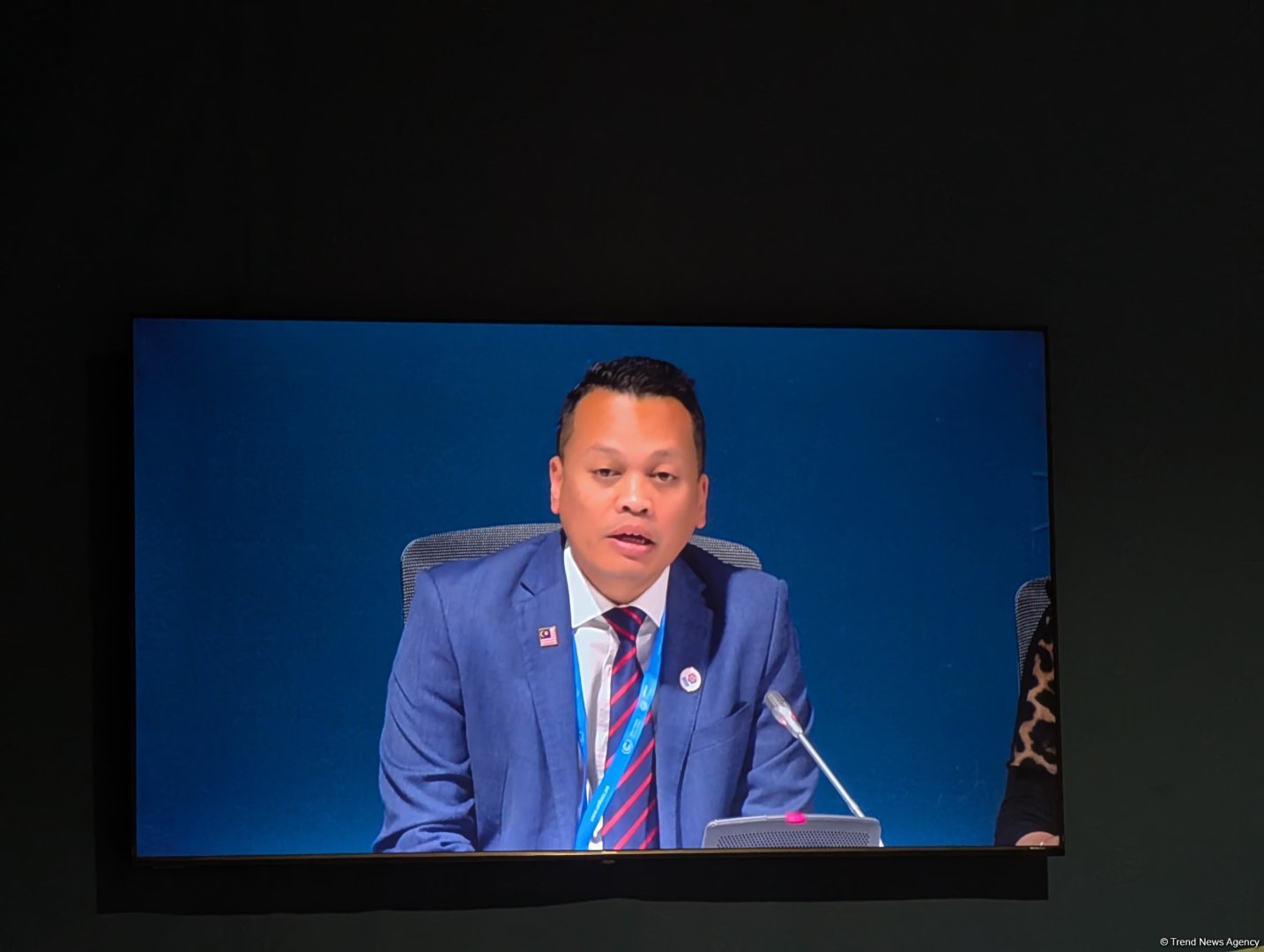 Malaysia reveals its renewable energy share target by 2050