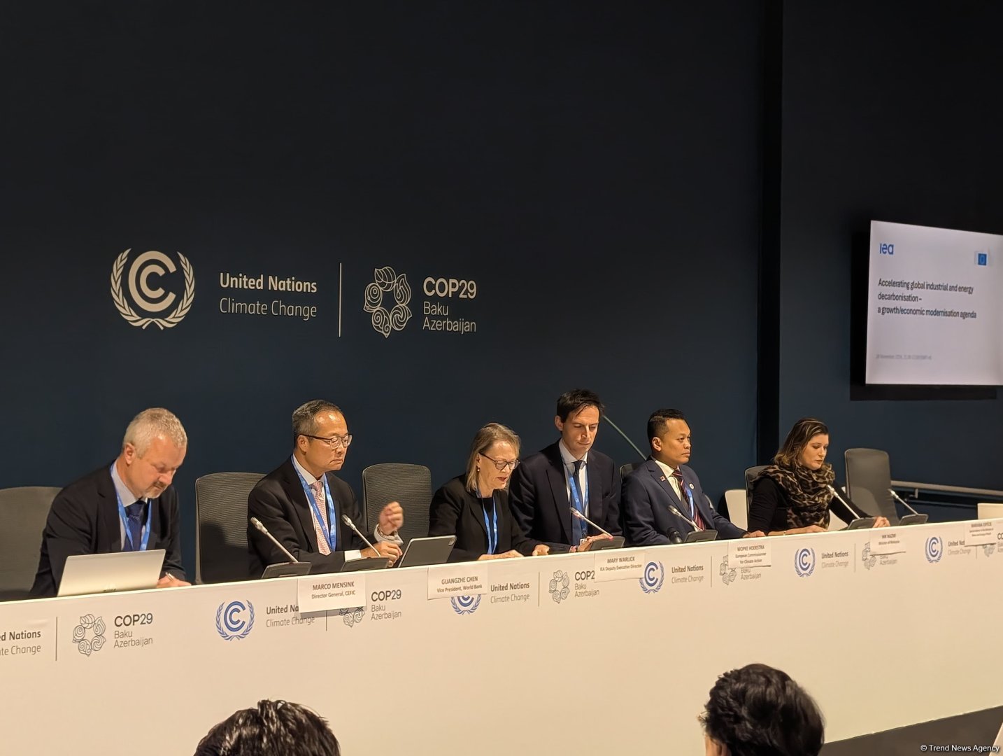 COP29 hosts panel discussion on accelerating global industrial and energy decarbonization (PHOTO)