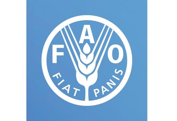 FAO supporting Kyrgyzstan in conducting nationwide agricultural census