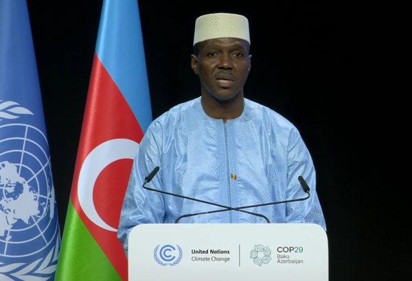 Mali discloses its measures to combat climate change