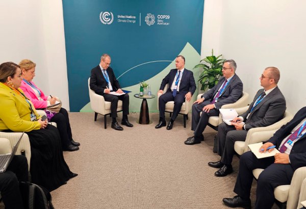 Azerbaijan discusses working hand in hand with WHO Regional Director for Europe (PHOTO)