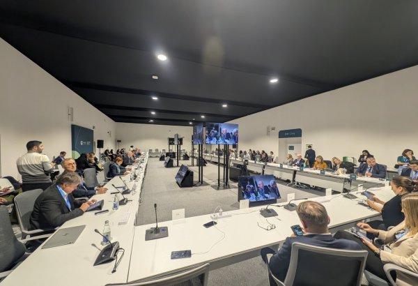 Baku Harmony Initiative standing as vital tool for attracting int'l investment - official
