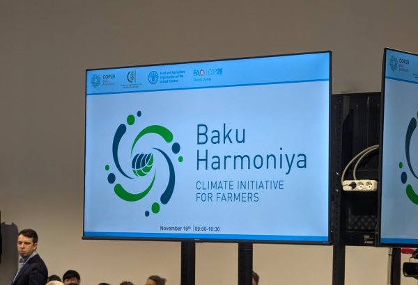 COP29 hosts event on launch of Baku Harmoniya Climate Initiative (PHOTO)