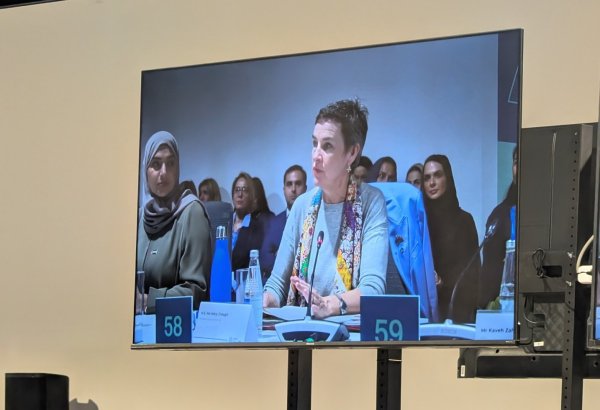 UK welcomes COP29 Presidency's Baku Harmoniya initiative - MP