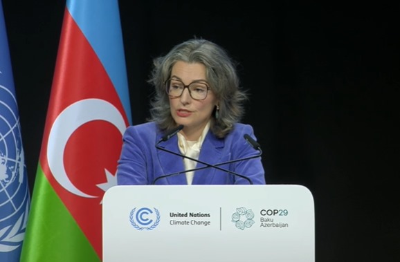 Estonia aims to meet electricity demands with renewables by 2030 - minister