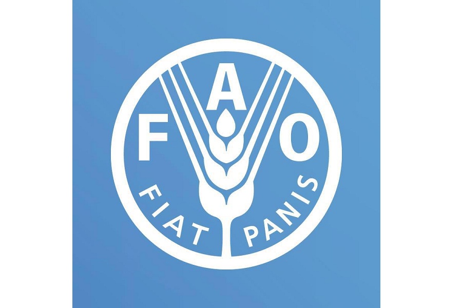 FAO supporting Kyrgyzstan in conducting nationwide agricultural census