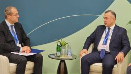 Azerbaijan discusses working hand in hand with WHO Regional Director for Europe (PHOTO)