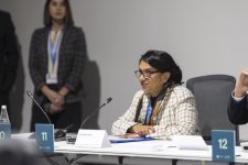 Azerbaijan's COP29 announces Baku Harmony Climate Initiative for Farmers (PHOTO)